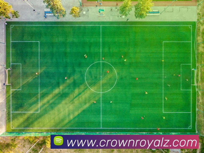 皇冠crown体育平台APP 封面图